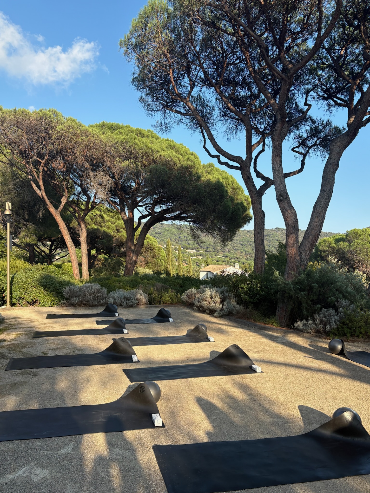 lilyofthevalley-masterclass-image