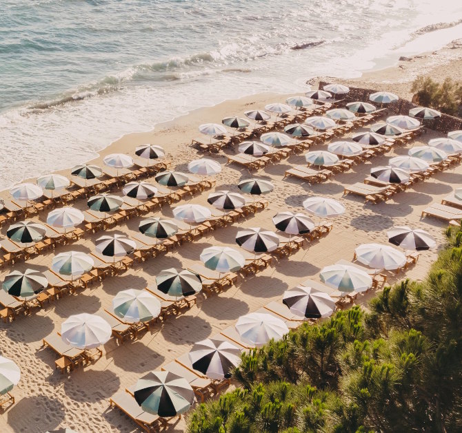 lilyofthevalley-restaurants