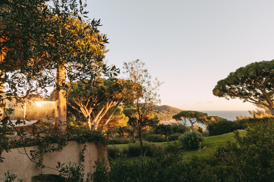 lilyofthevalley-restaurants