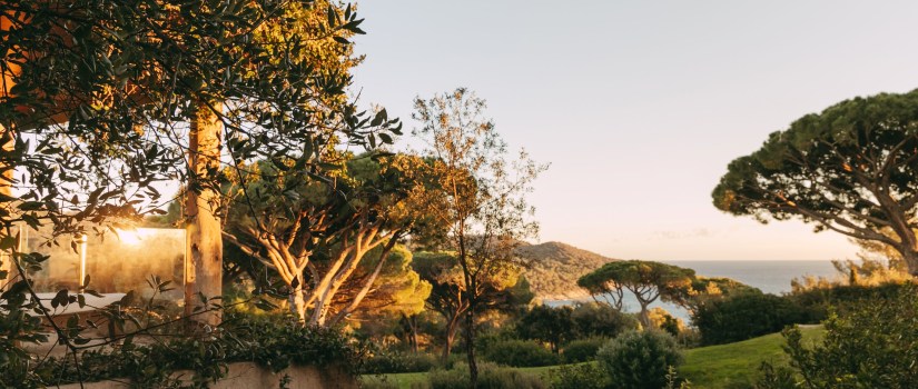 lilyofthevalley-room-service