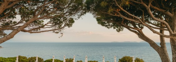 lilyofthevalley-image